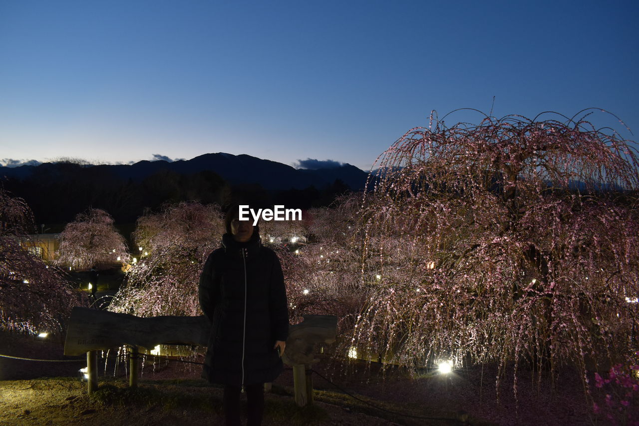 evening, plant, sky, tree, nature, flower, night, illuminated, one person, adult, rear view, beauty in nature, clear sky, light, men, full length, dusk, outdoors, clothing, architecture, flowering plant, mountain, leisure activity, standing, autumn, lifestyles, holiday, person