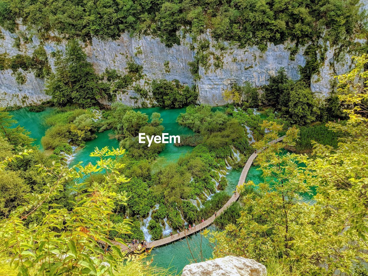 High angle view of lake by trees