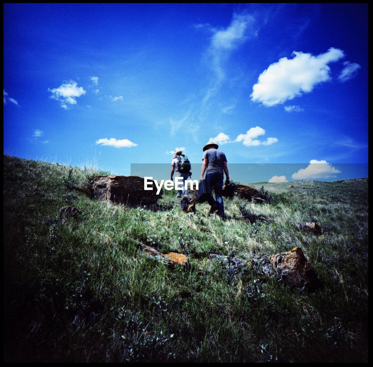 Looking for Dinosaurs Alberta, Canada Analogue Photography Car Climb Couple Devil's Coulee Dino Dinosaur Gate Grass Hike Lonely Nature Outdoors Palaeontological Reserve Paleo Dig Paleontology Rear Mirror Reserve Ride Roadtrip Skeletons Sky And Clouds Street Wendiceratops