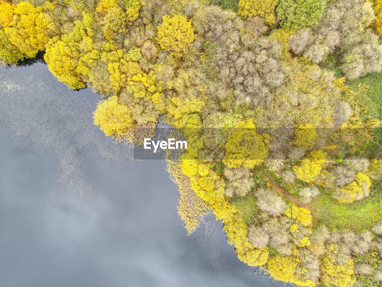 Drone photos of a lake and forest in east yorkshire, uk. autumn colours and stunning sky reflections