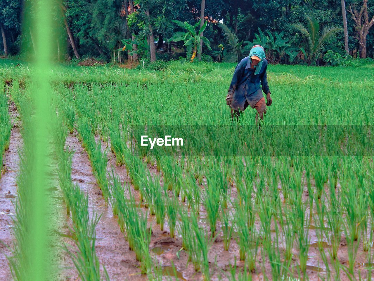 Man working on field