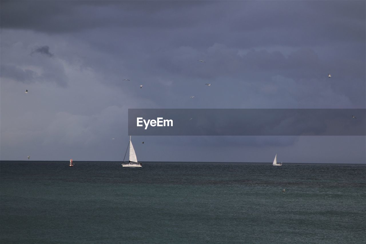 SAILBOATS SAILING ON SEA AGAINST SKY