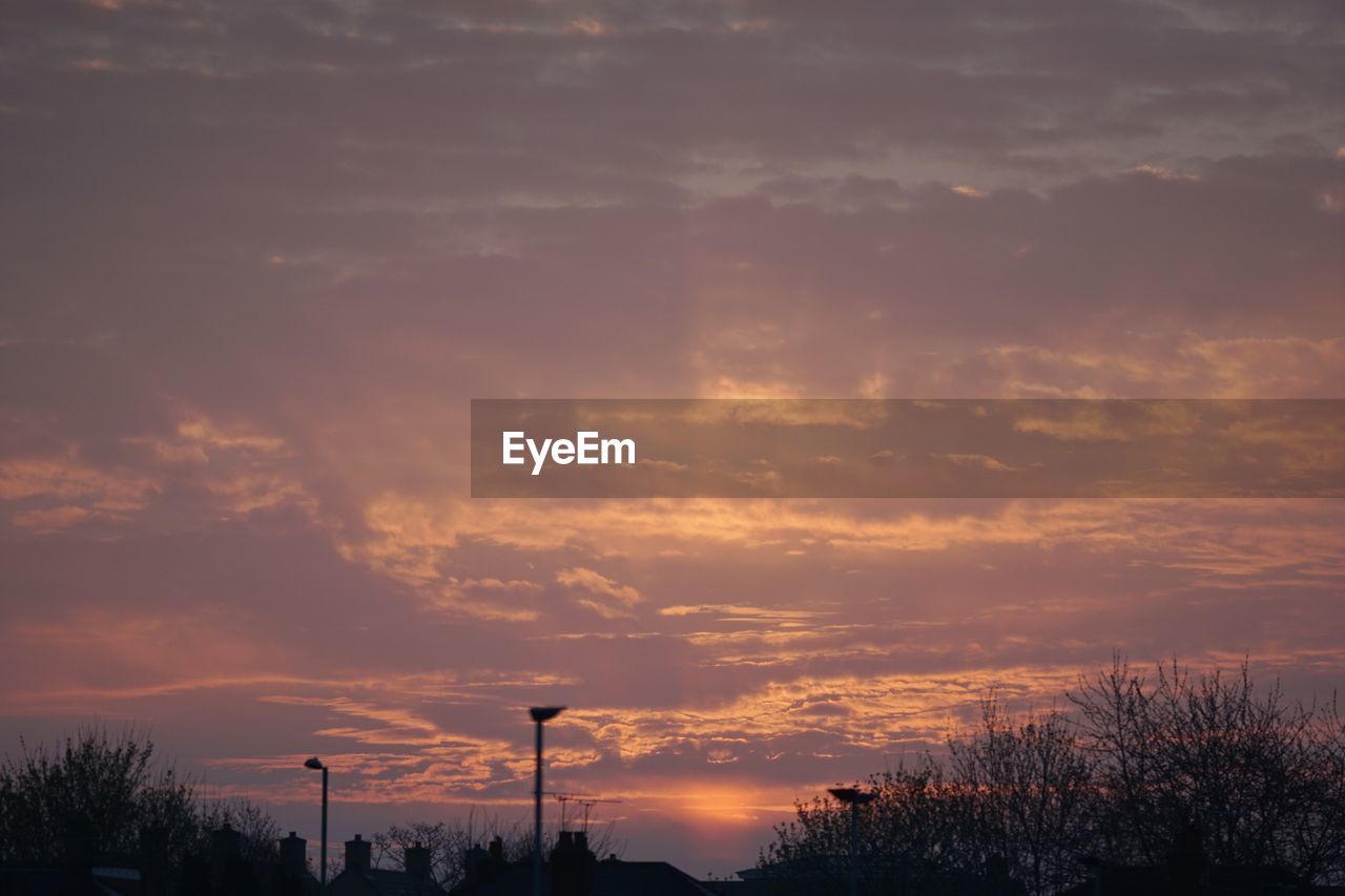 Low angle view of silhouette trees against orange sky