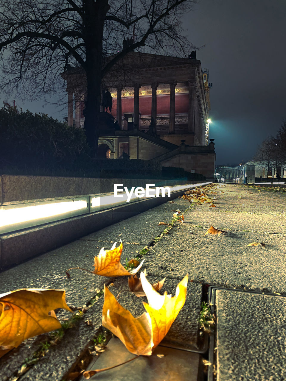 AUTUMN LEAVES ON STREET BY BUILDING