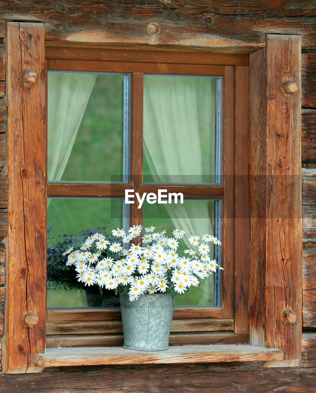 FLOWERS ON WINDOW OF HOUSE