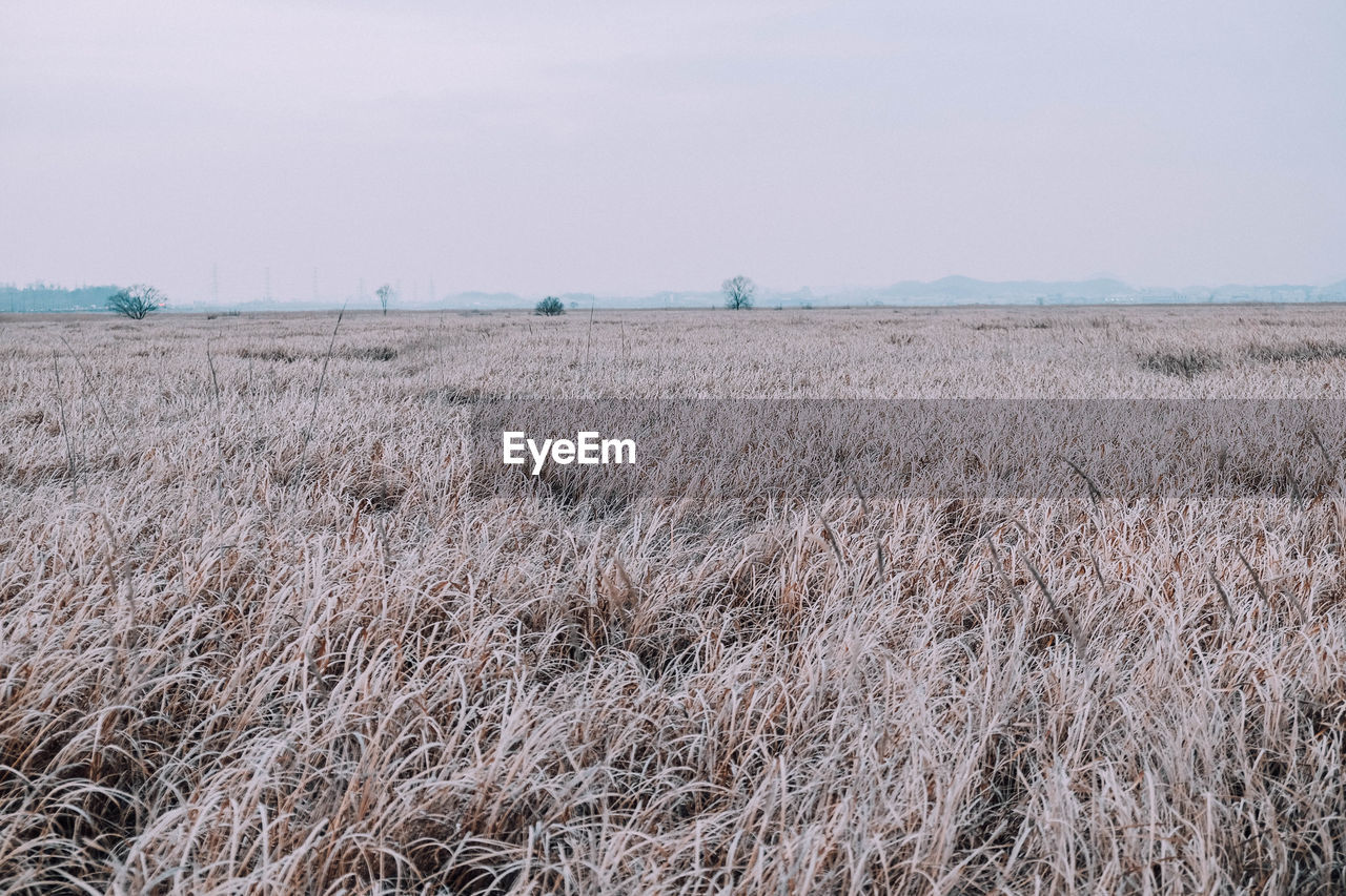 Scenic view of field against cloudy sky