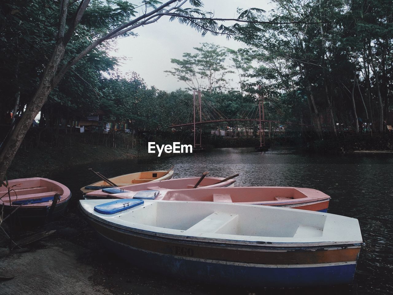 BOATS MOORED ON LAKE IN FOREST