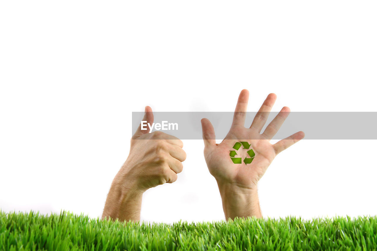 hand, grass, finger, plant, nature, green, lawn, sky, growth, field, copy space, adult, one person, soil, environment, men, cut out, land, outdoors