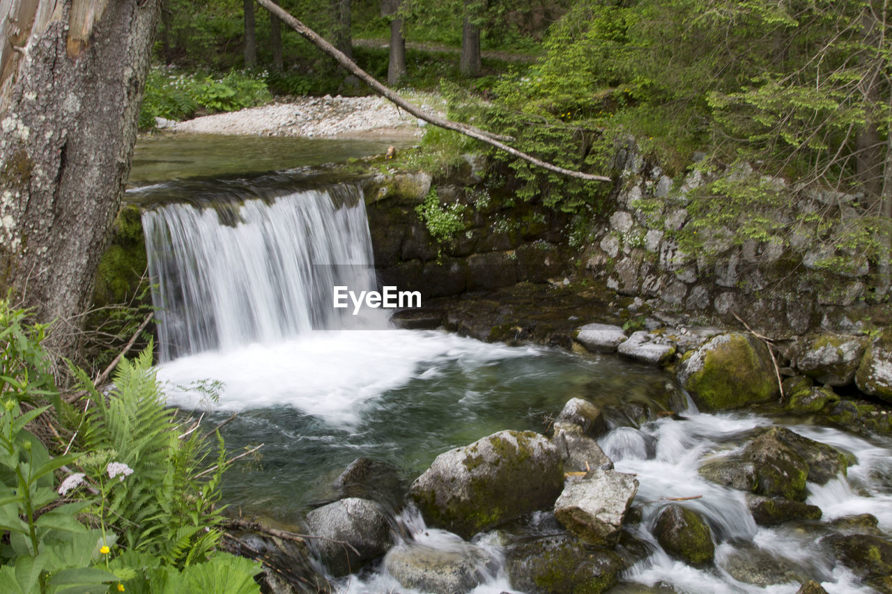 SCENIC VIEW OF WATERFALL