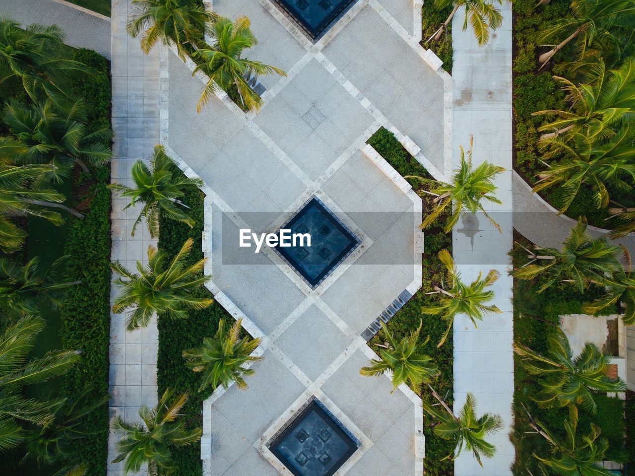 Directly above shot of palm trees growing amidst footpath at public park