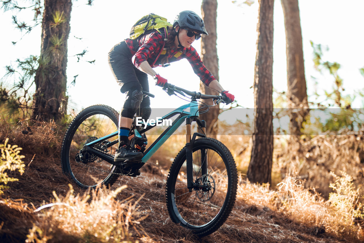 Woman riding on bicycle on path between trees on hill in forest