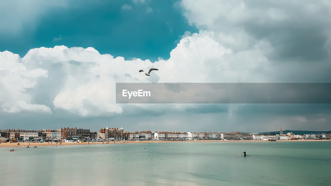 SEAGULLS FLYING OVER SEA