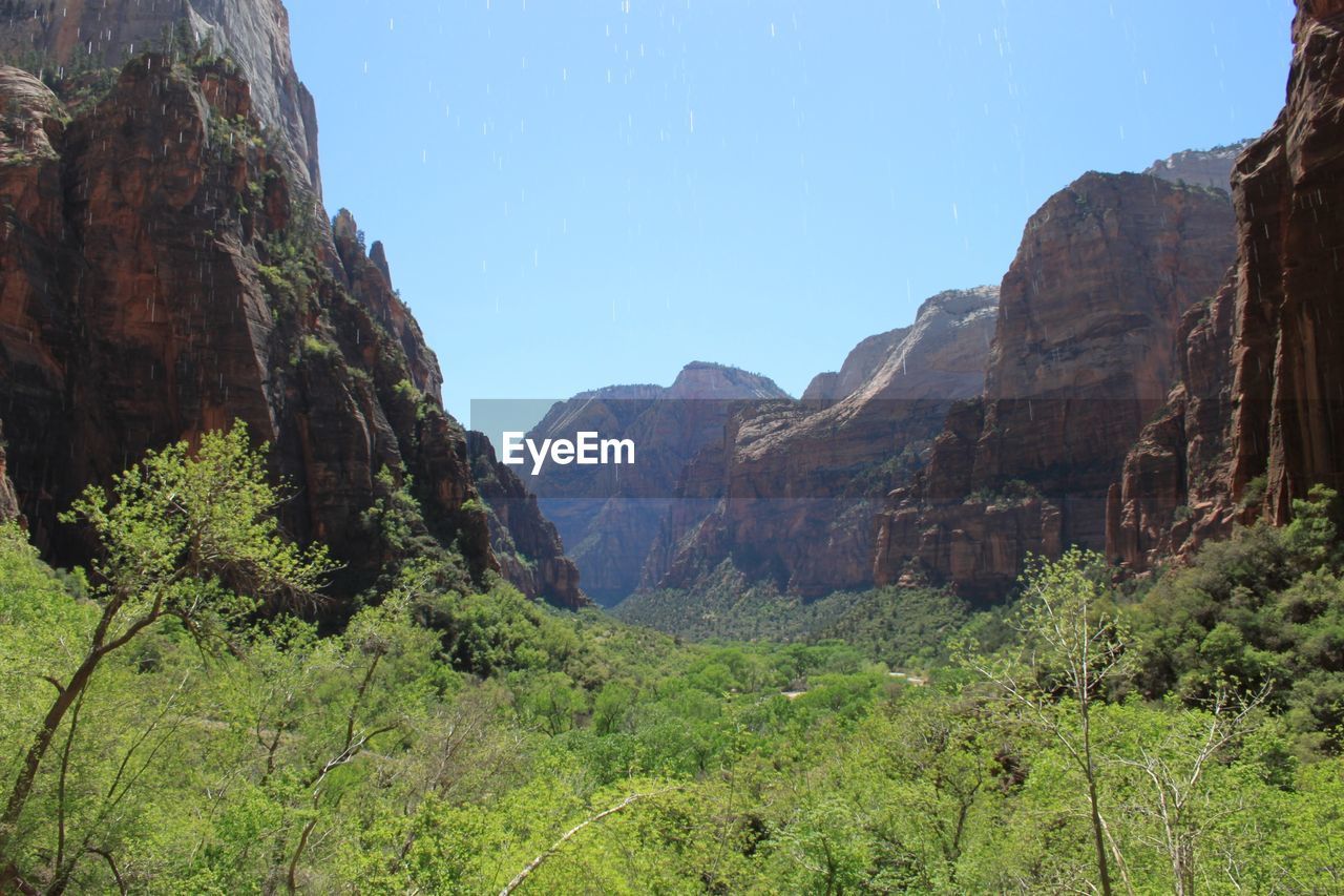 Trees and plants amidst rock formation at zion national park