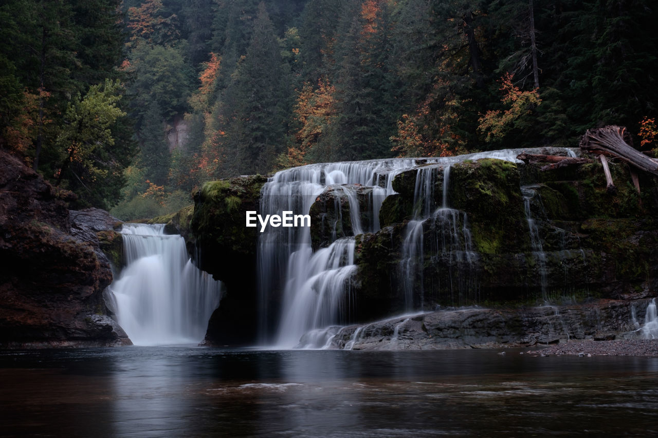 Scenic view of waterfall in forest