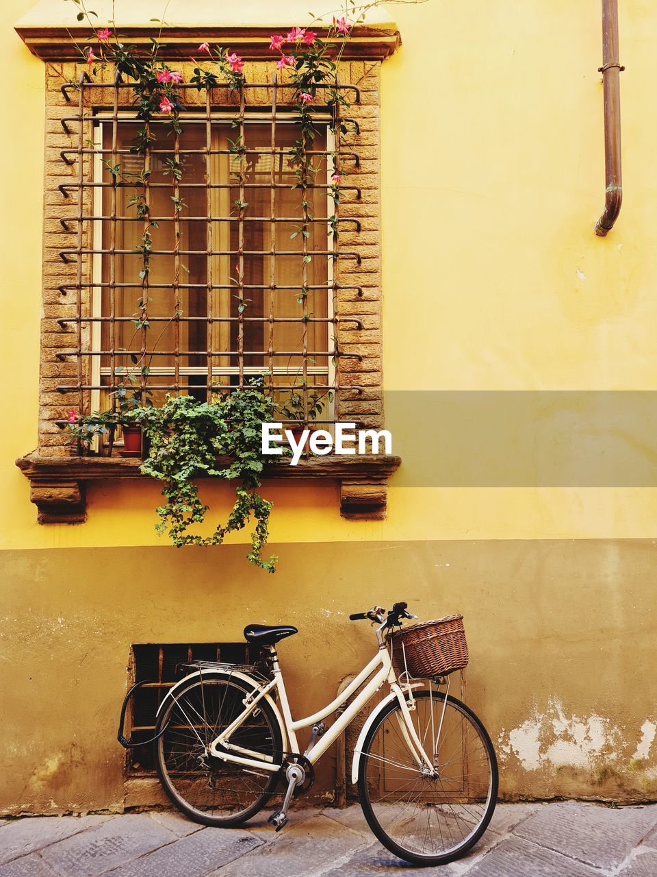 Women's bicycle with basket leaning under a window with flowers