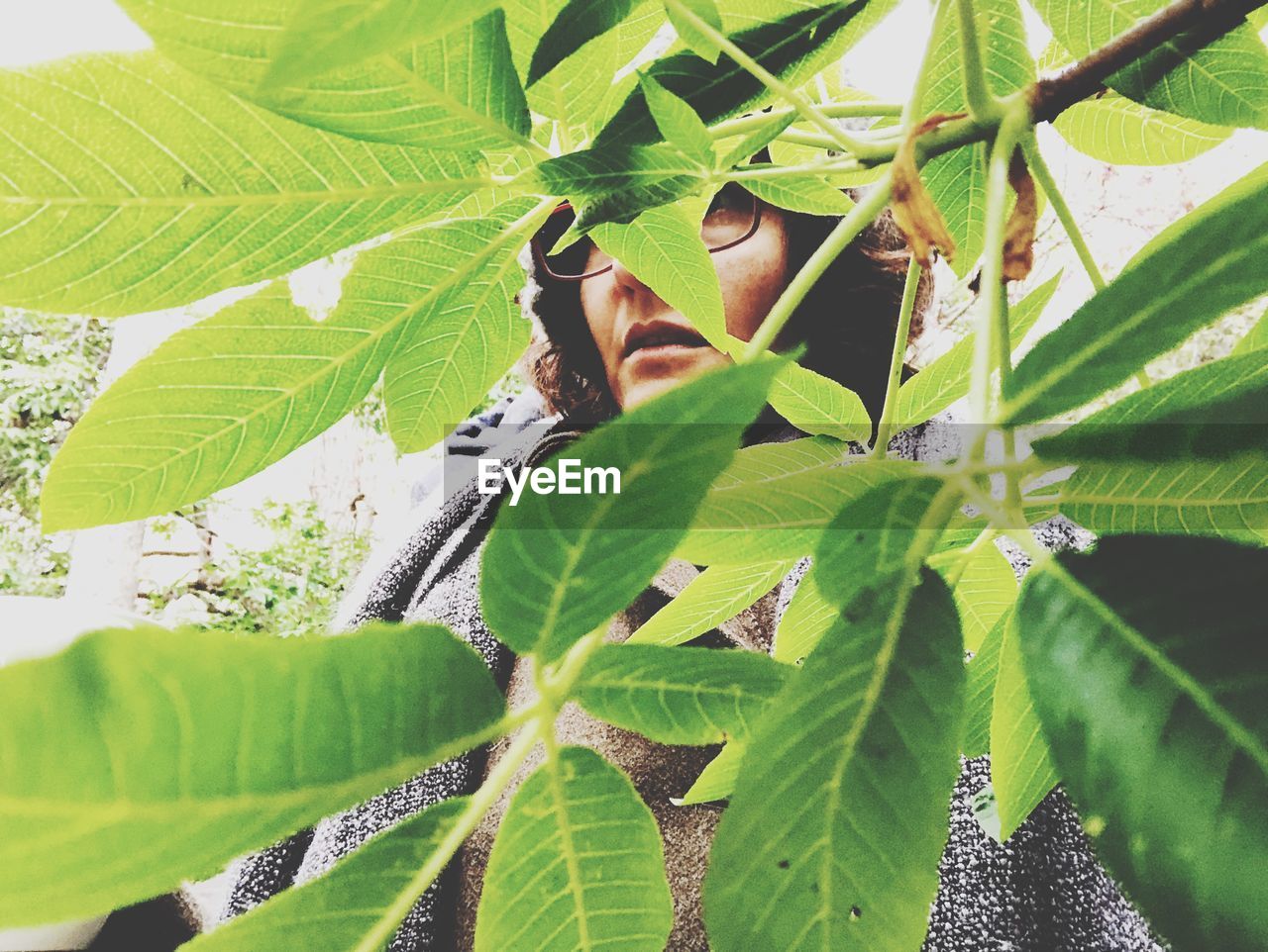 Low angle view of woman seen through leaves