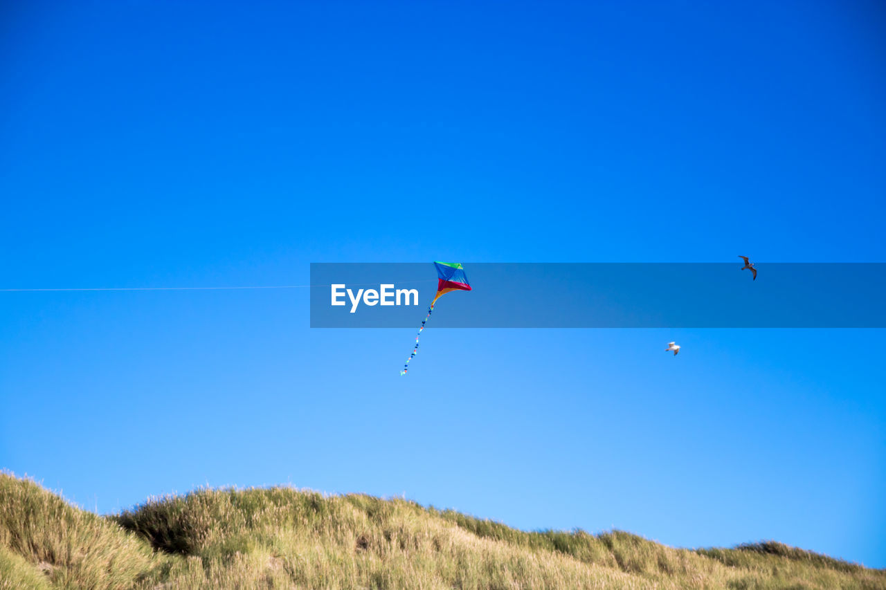 KITE FLYING IN SKY