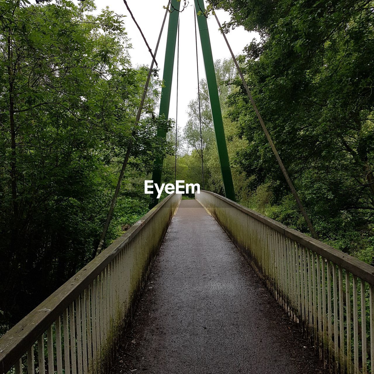 NARROW FOOTBRIDGE ALONG TREES AND PLANTS