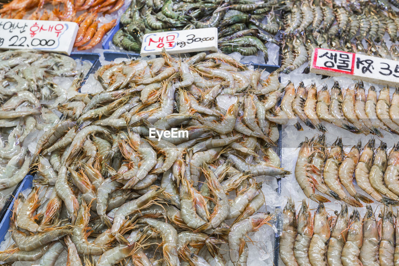 VIEW OF FISH FOR SALE AT MARKET