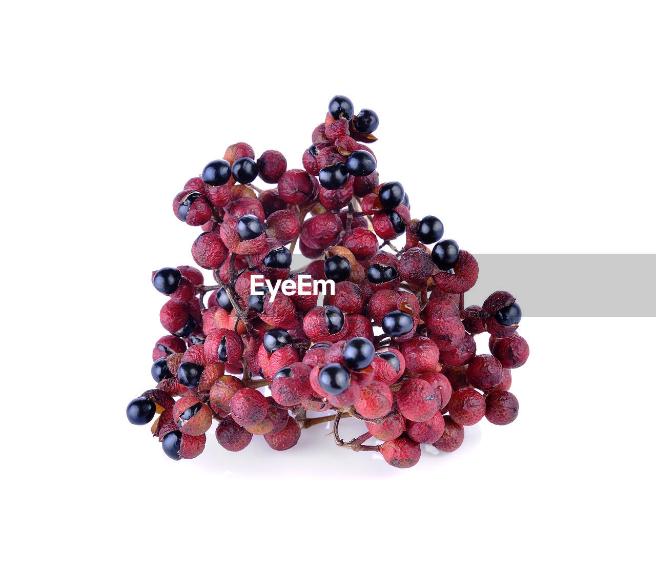 HIGH ANGLE VIEW OF BERRIES