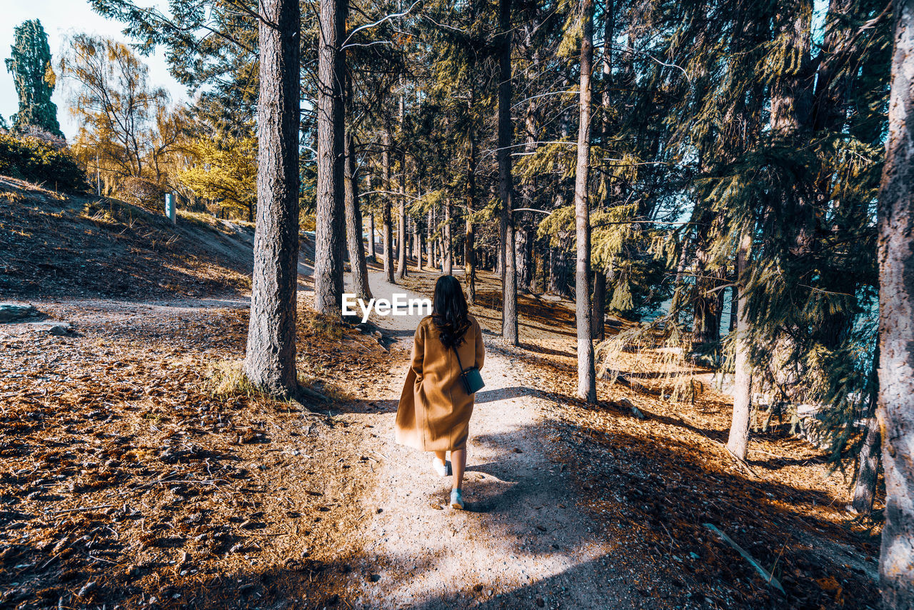 Rear view of woman walking on land in forest