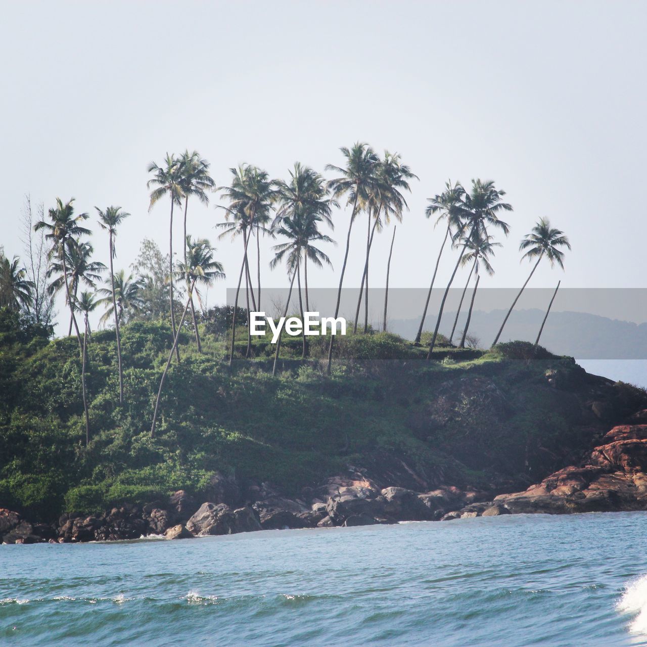 SCENIC VIEW OF PALM TREES ON BEACH AGAINST SKY