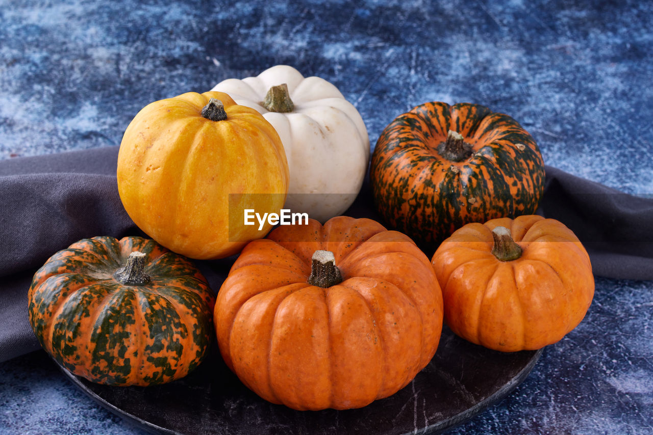 6 mini pumpkins and gourds on dark plate with dark background