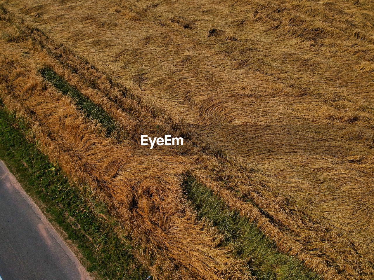 High angle view of agricultural field