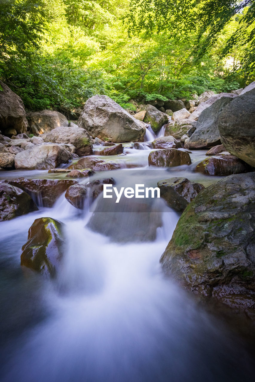 WATER FLOWING THROUGH ROCKS IN FOREST