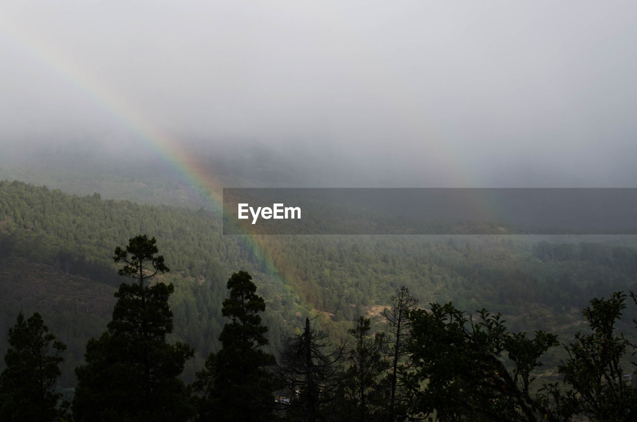 SCENIC VIEW OF RAINBOW AGAINST SKY