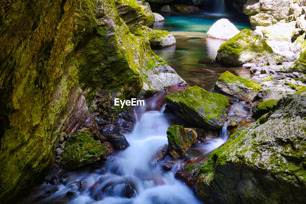 Stream flowing through rocks in forest