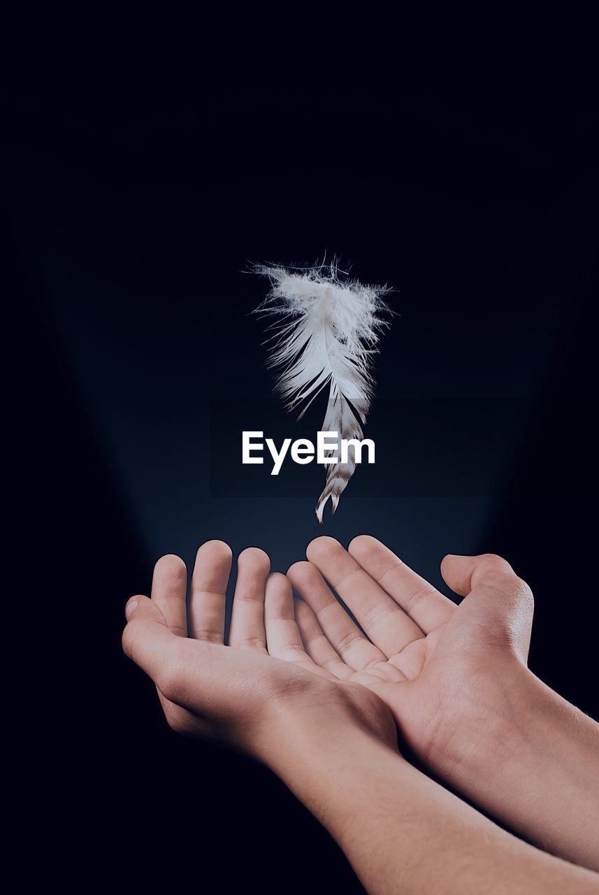 Close-up of woman holding catching feather against black background