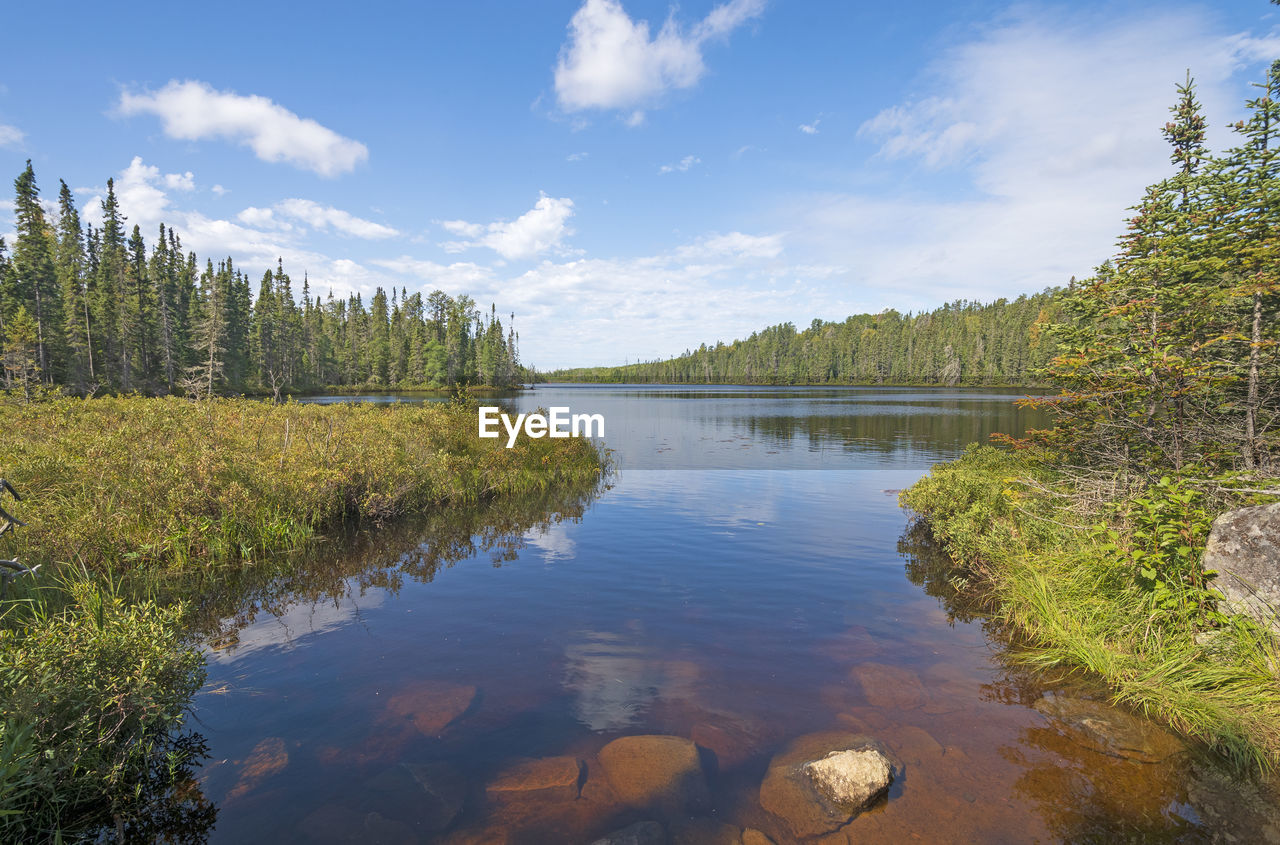 Sunny day in the north woods on muskeg lake in the boundary waters in minnesota