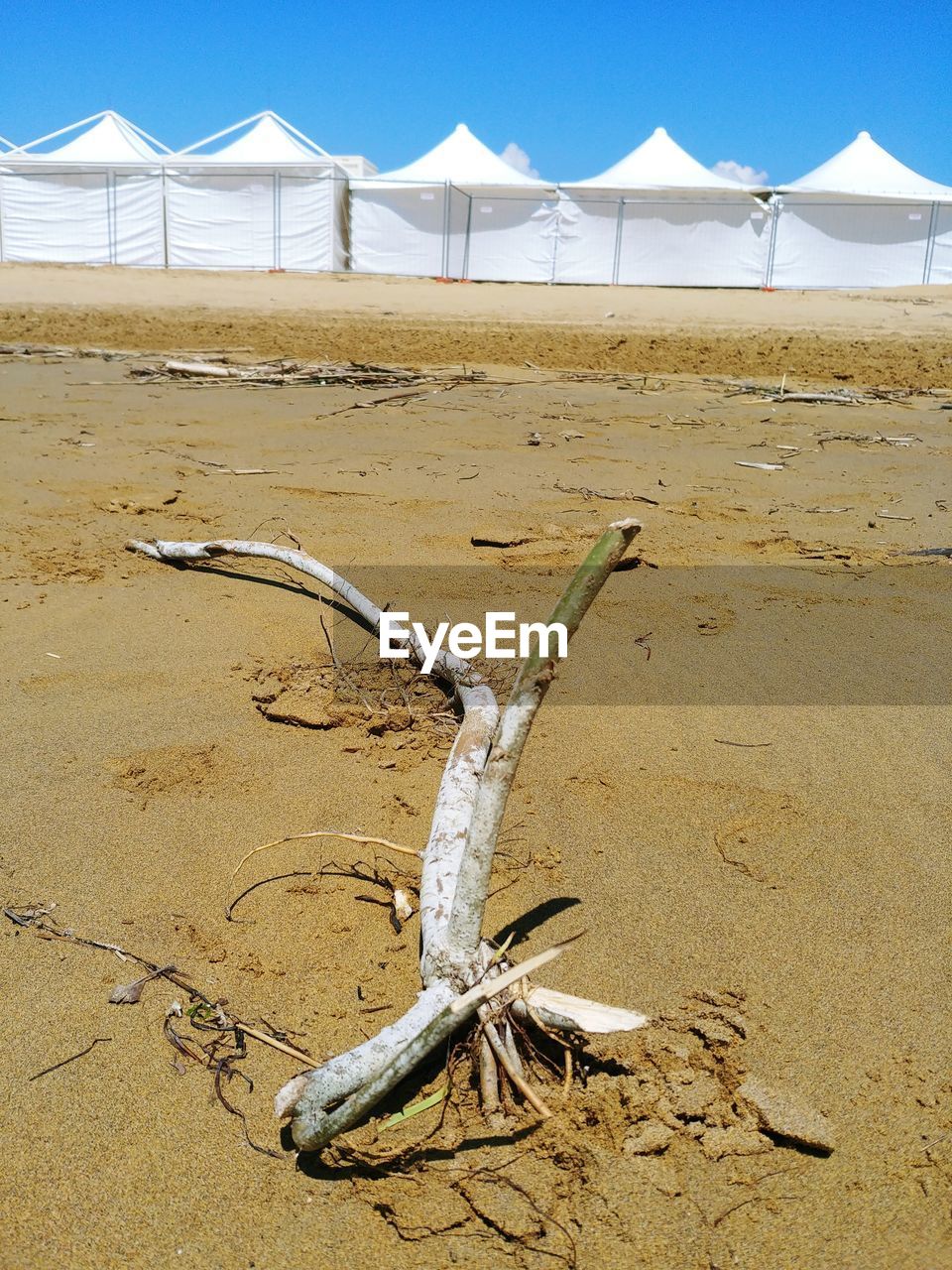 VIEW OF DRIFTWOOD ON BEACH