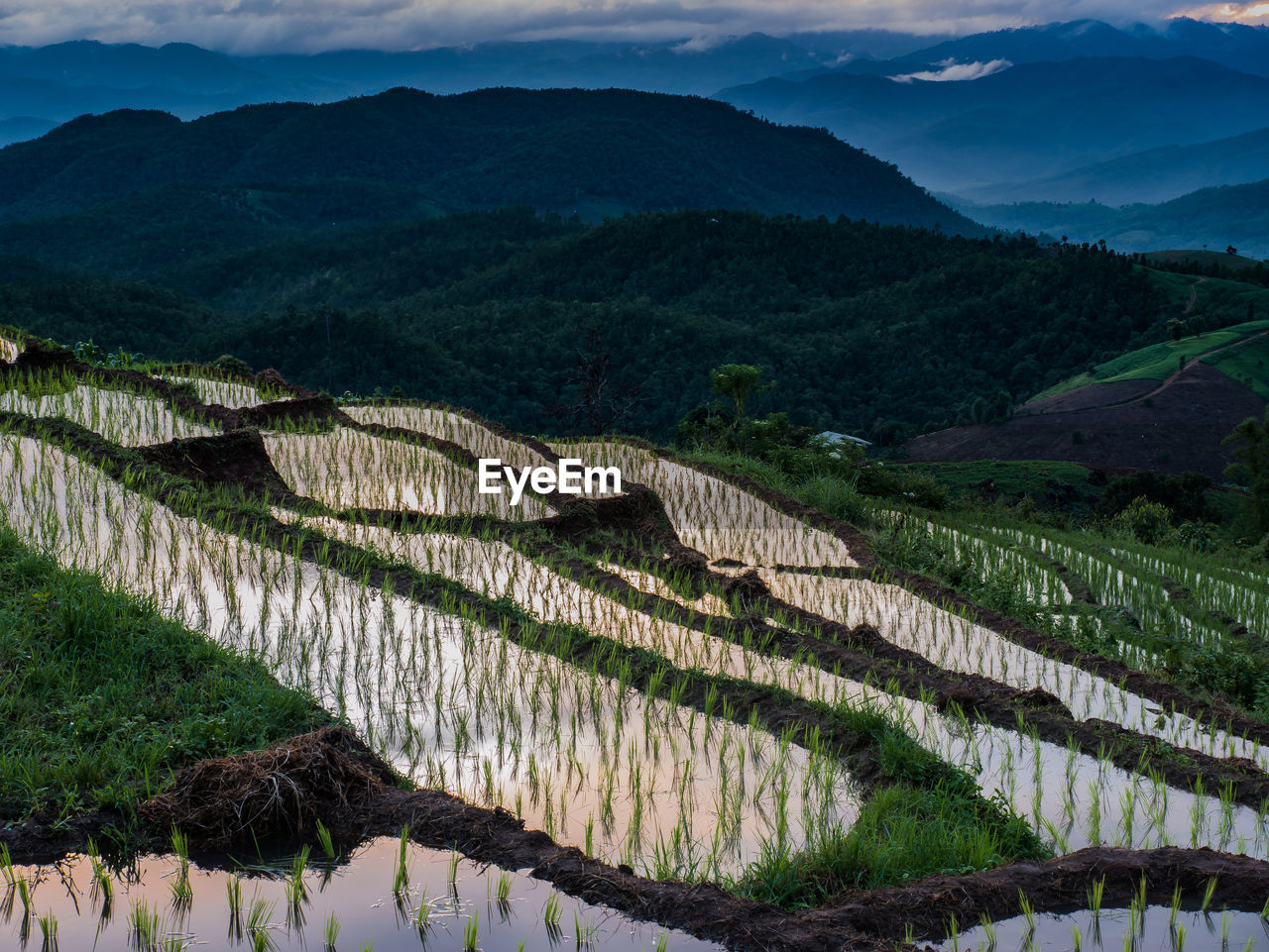 View of rice terraces at thailand