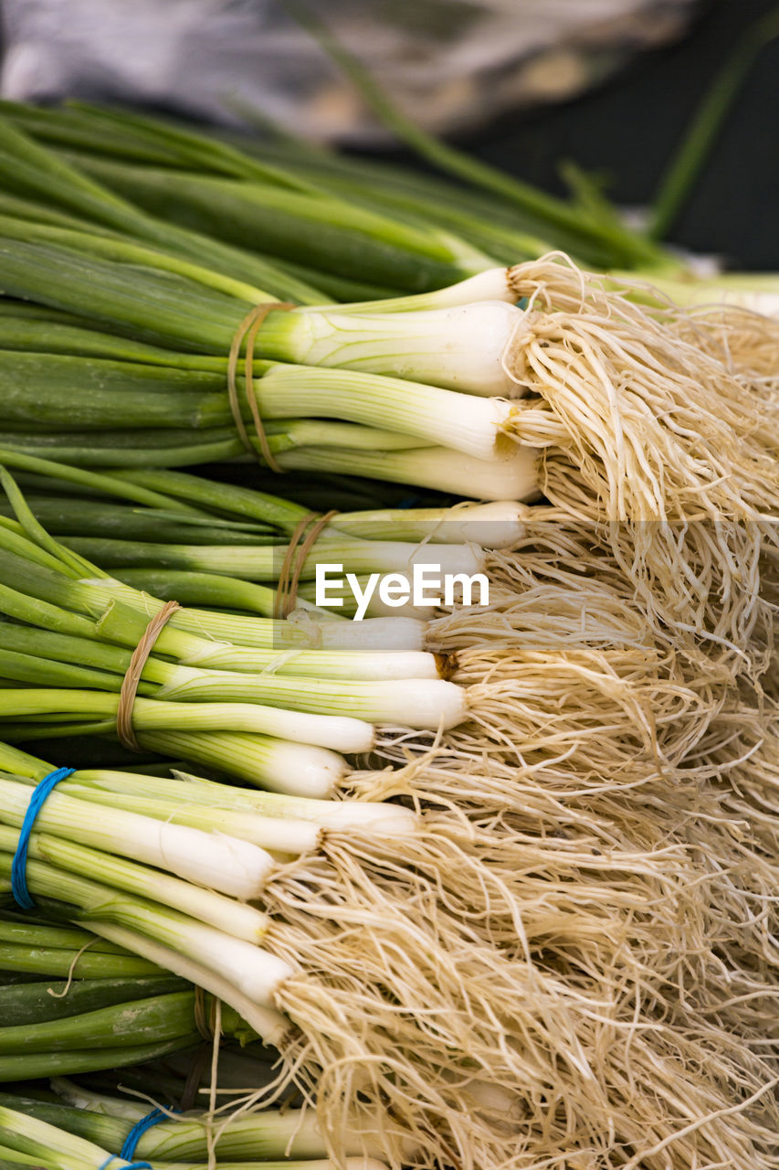 HIGH ANGLE VIEW OF VEGETABLES