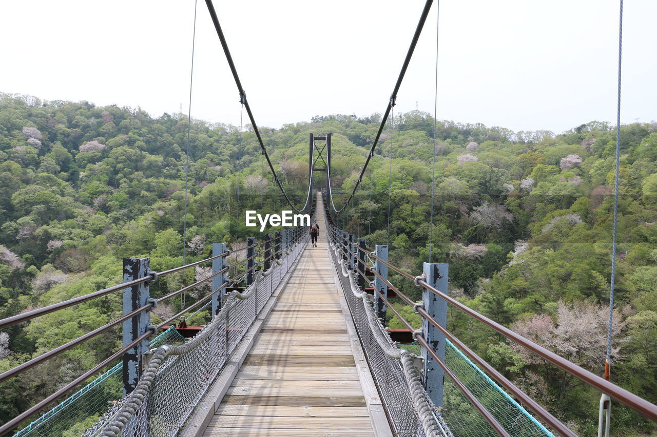 FOOTBRIDGE OVER FOREST