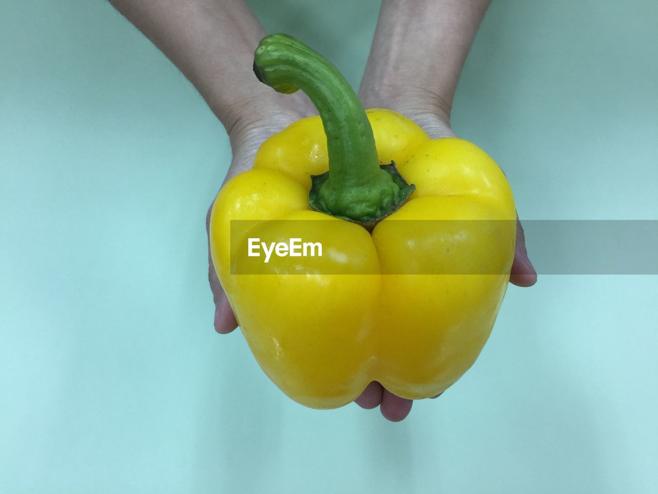 Close-up of hand holding yellow bell peppers