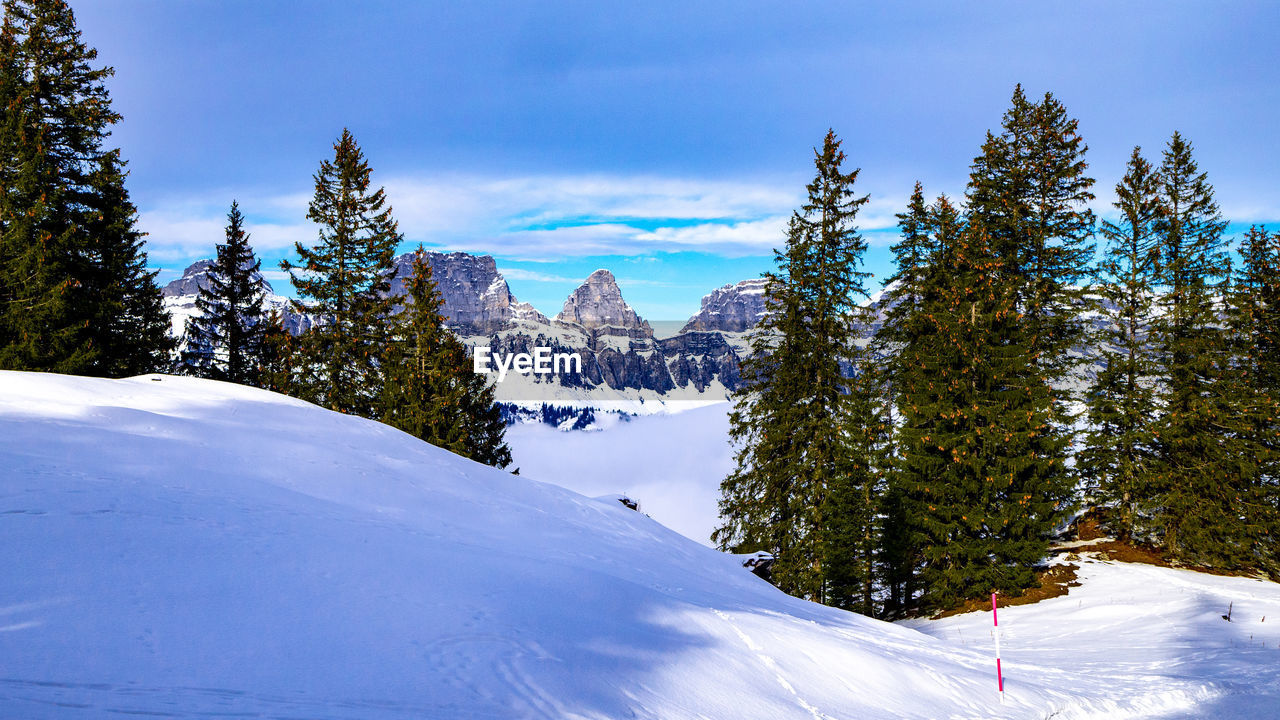 SCENIC VIEW OF SNOW COVERED LANDSCAPE AGAINST SKY