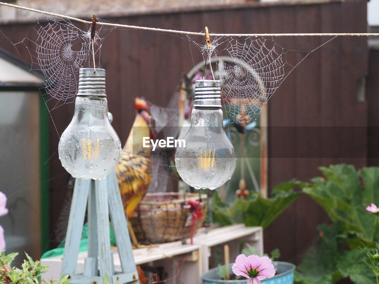 flower, hanging, plant, no people, flowering plant, nature, decoration, vase, lighting equipment, container, focus on foreground, lighting, outdoors, day, lantern, floristry, birdcage, bottle