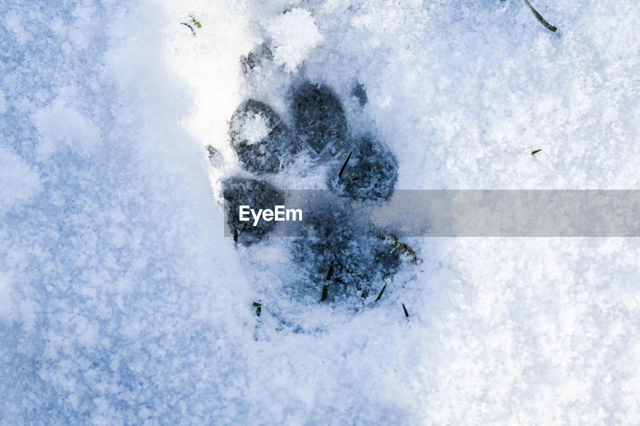 High angle view of snow covered land