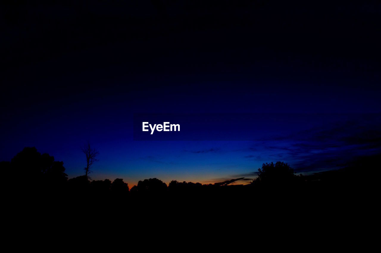 SILHOUETTE TREES AT SUNSET