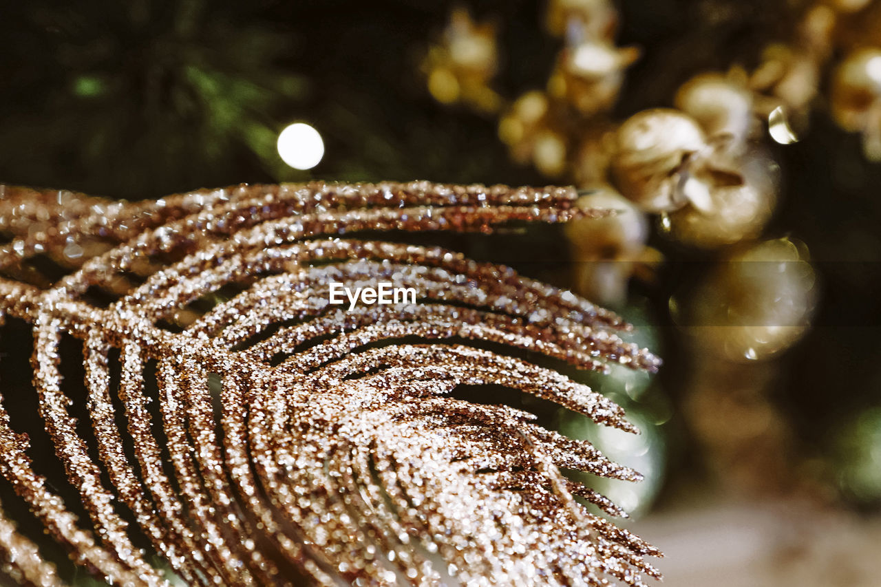 New year's composition. golden christmas branches. bokeh garland