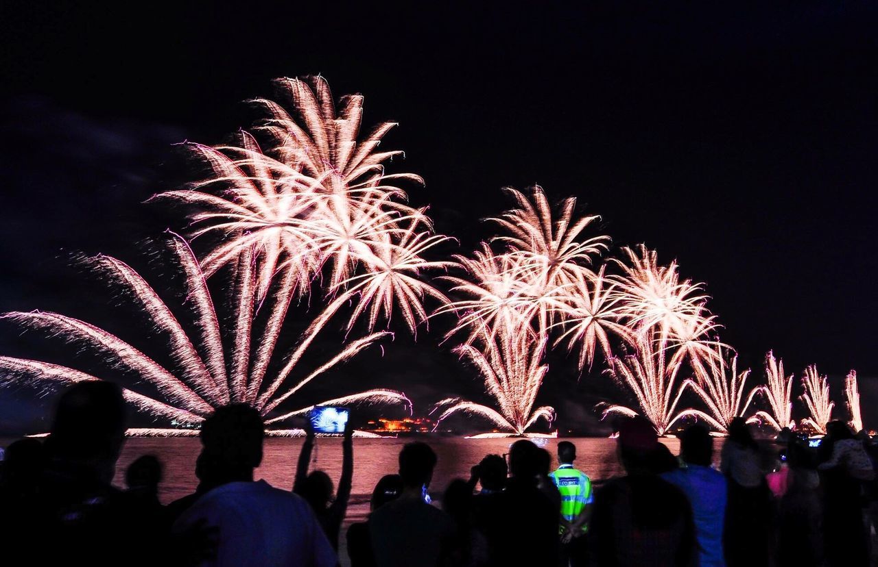 People looking at firework display in sky at night