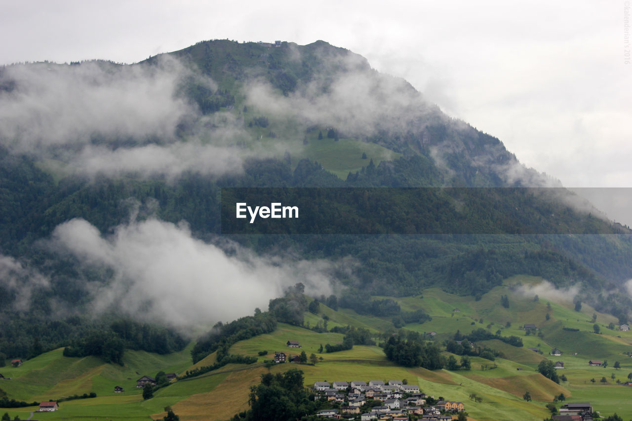 SCENIC VIEW OF GREEN LANDSCAPE AGAINST SKY