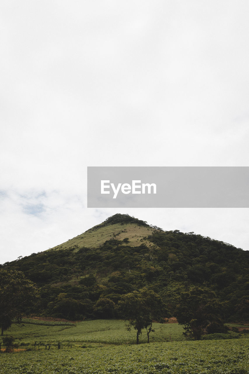 SCENIC VIEW OF FIELD AND MOUNTAINS AGAINST SKY