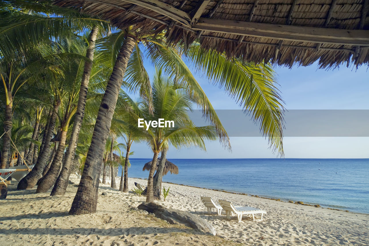 It's siesta time, there are no vacationers on the beach. palm trees bent over the turquoise water.