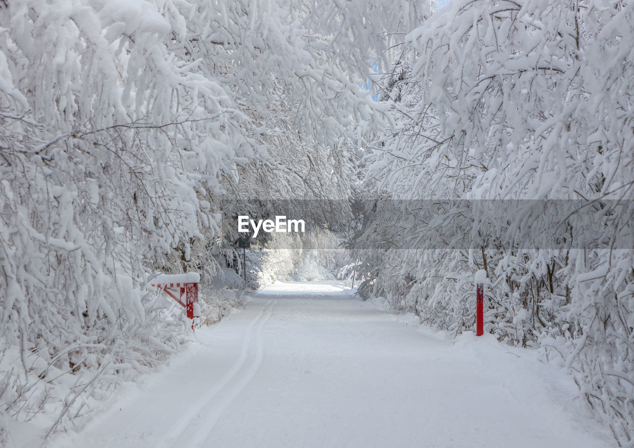 Snow covered mountain