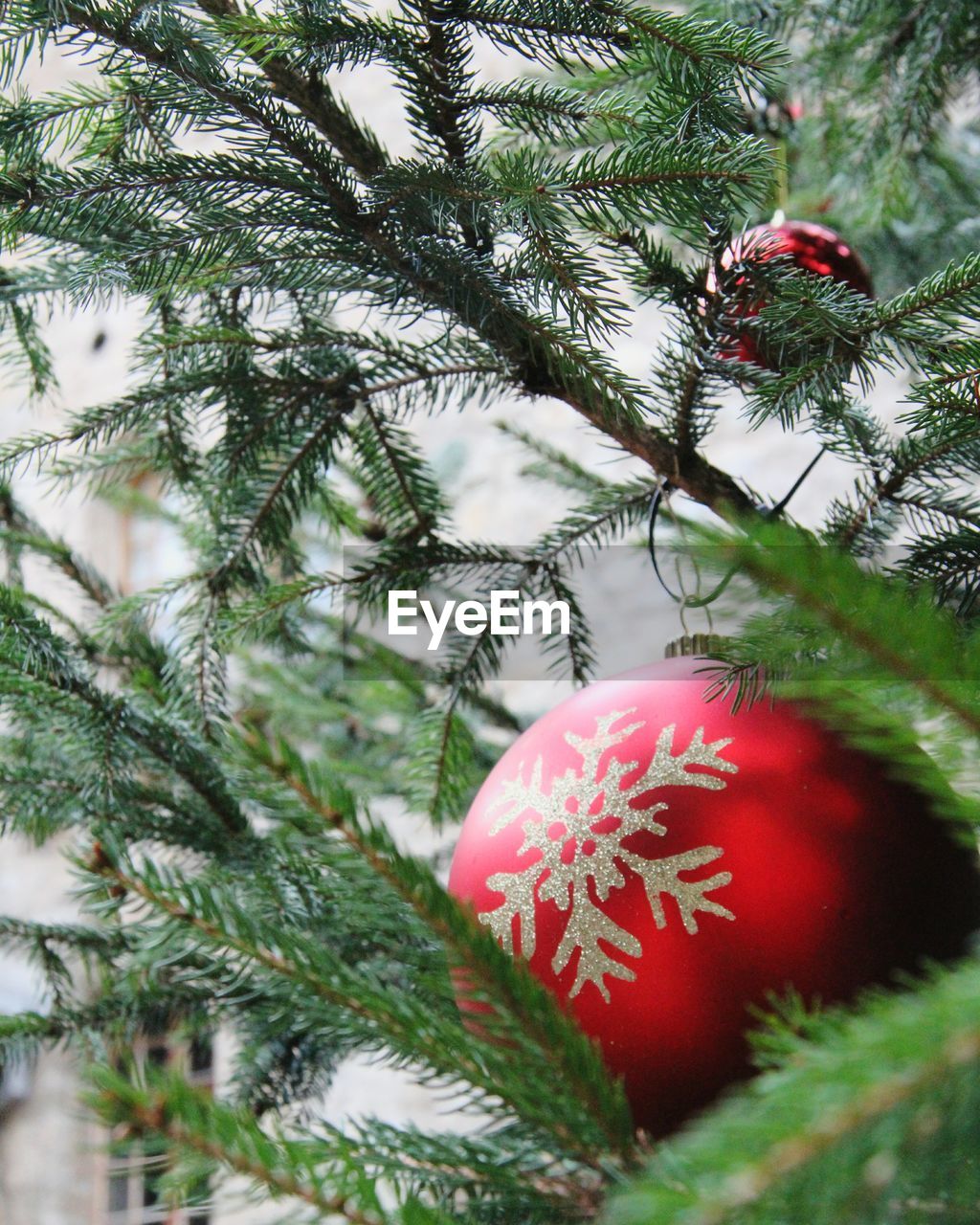 Close-up of red bauble on christmas tree