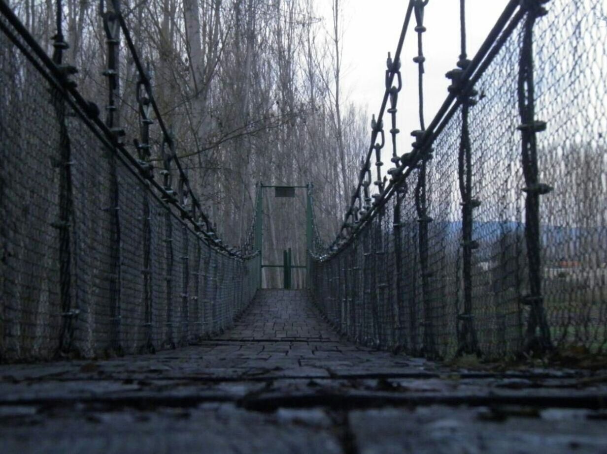 Empty footbridge against trees
